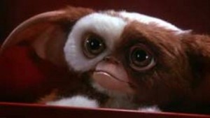 Gizmo, Gizmo Mogwai Noël, mogwai gremlins, gremlins mogwai, gizmo mogwai, mogwai gizmo, gremlins noël, gremlins christmas