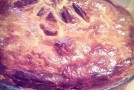 Tourte au poulet de Cornouailles – de Gordon Ramsay