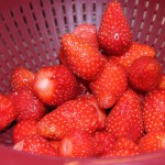 tarte aux fraises (6)