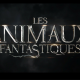 5 films pour Les Animaux Fantastiques !